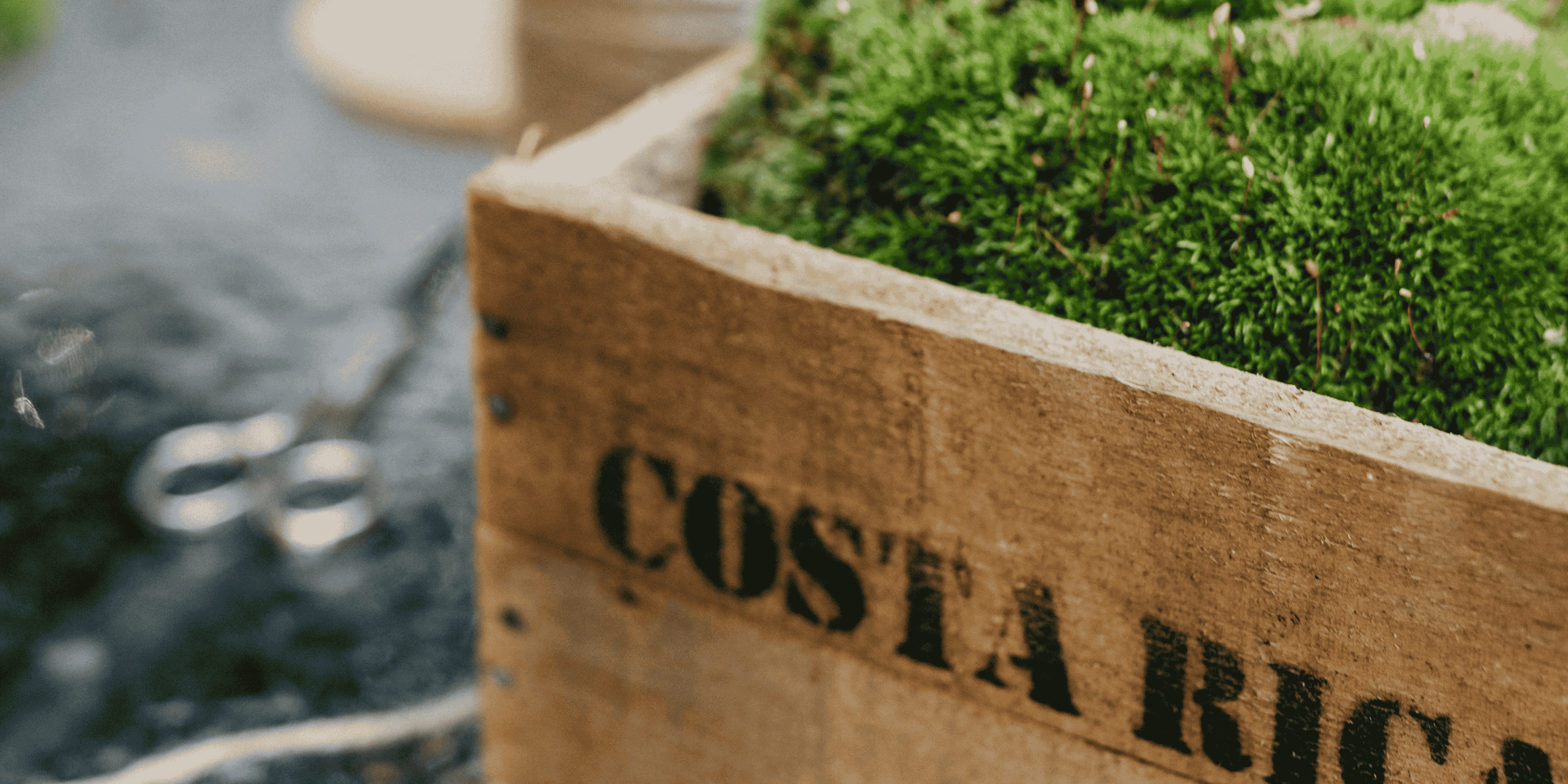 Why Costa Rica Is One of the Most Popular Travel Destinations in the World
